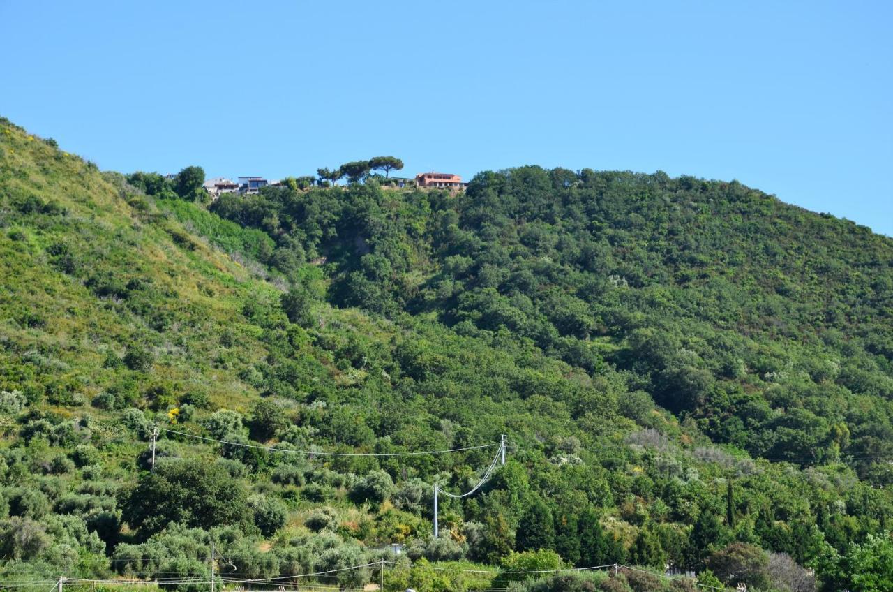 Penthouse Mare E Monti Lägenhet Tropea Exteriör bild